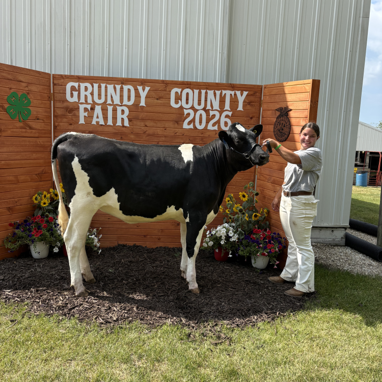 Makenly Kuester won Champion Calf, Supreme Champion Dairy, Reserve Champion Yearling, and Champion Senior Showman in the Dairy Show.